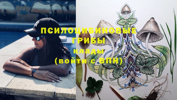 МДПВ Алексин
