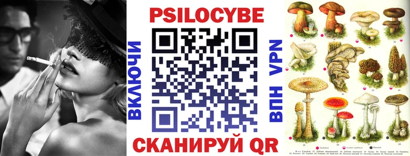 сколько стоит  Киреевск  Галлюциногенные грибы Psilocybe 
